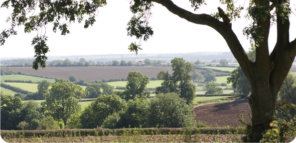 Scalford Court Care Home, near Melton Mowbray, set in delightful woodland.