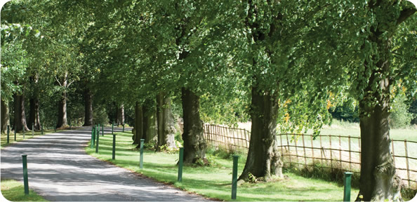 Scalford Court Care Home, near Melton Mowbray, set in delightful woodland.